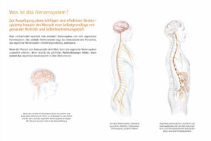 Gesundheitsausstellung-8
