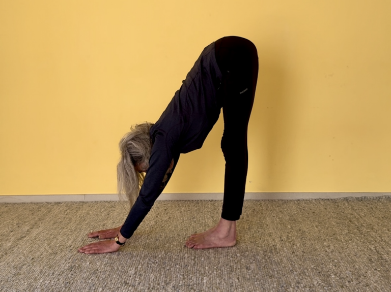 Gathering and flowing out in uttānāsana