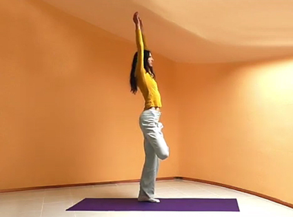 tadasana- vrikshasana- L’albero e la centratura nella colonna vertebrale