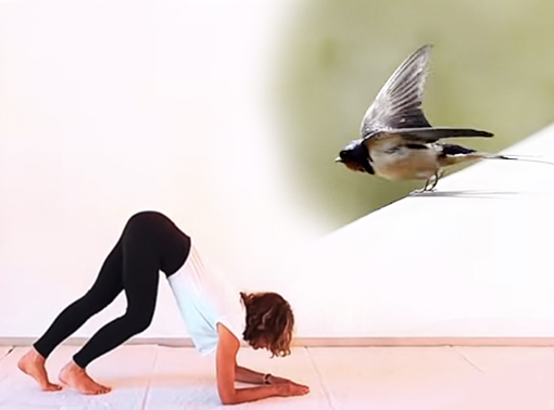 The audacious jump of the Scorpion and the song “Donna Donna”