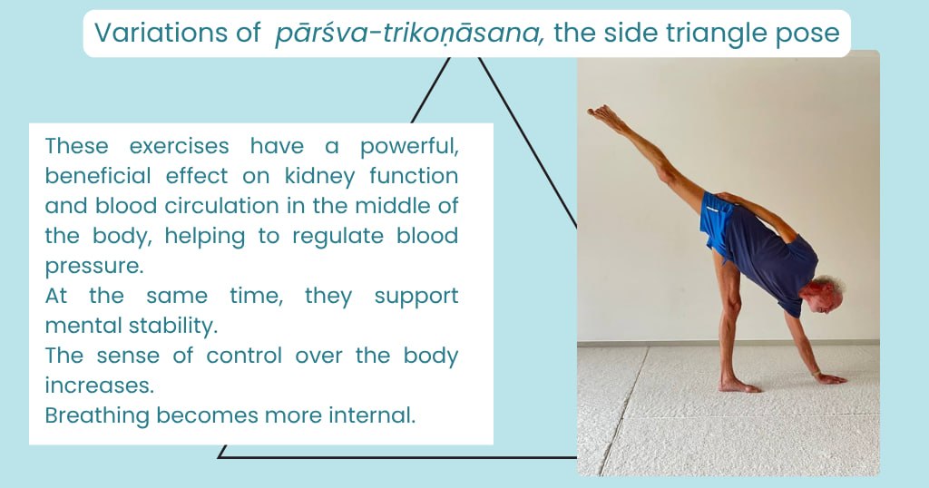 Variations of the side triangle pose and their positive effects on the kidneys and blood pressure.