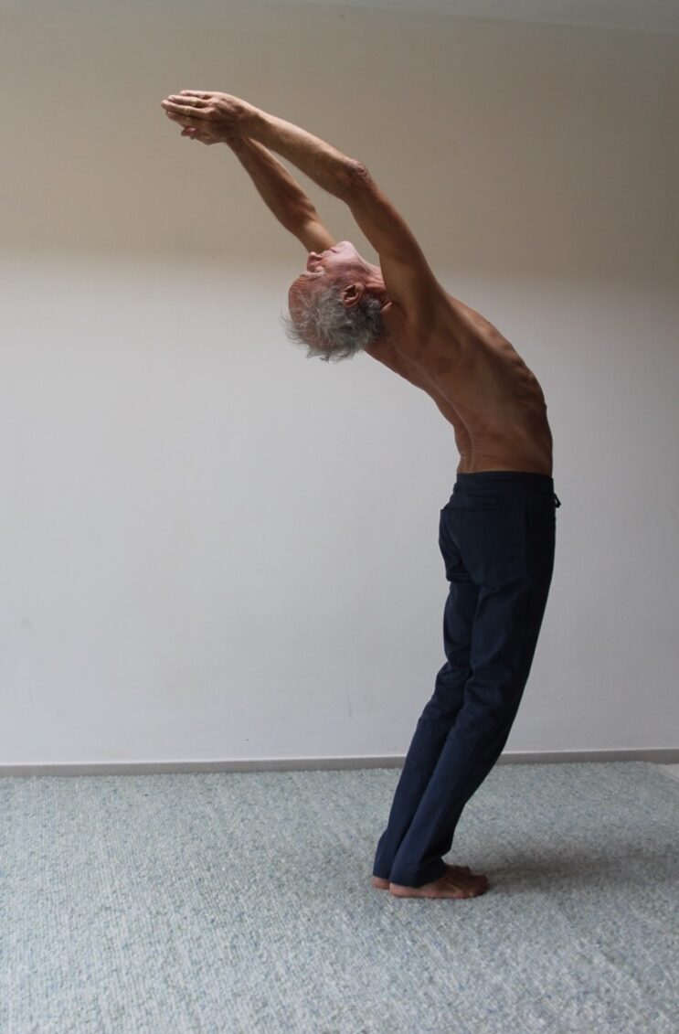 Foto von Ardha Chandrasana mit maximaler Stabilität und starker Zentrierung in der Hüfte.
